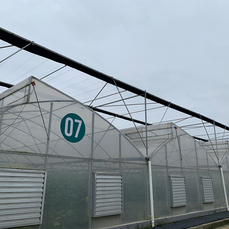 Plastic UV Film Poly Tunnel Agricultural Sawtooth Multi-span Custom Greenhouse for Sale