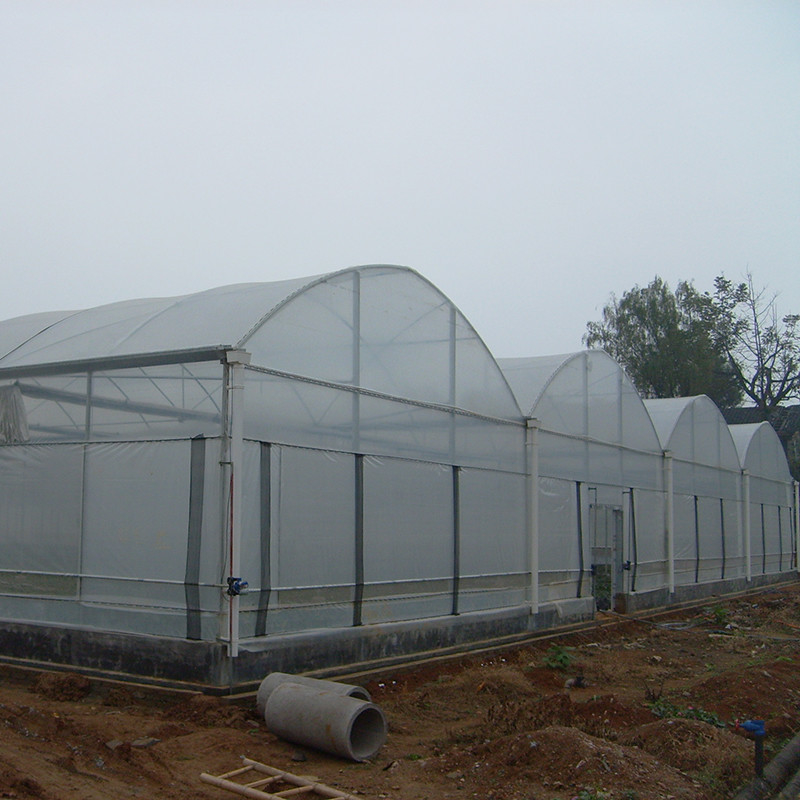 Stable Structure Wind Resistant Multi-span Large Tunnel Poly Film Hydroponic Greenhouse for Irrigation