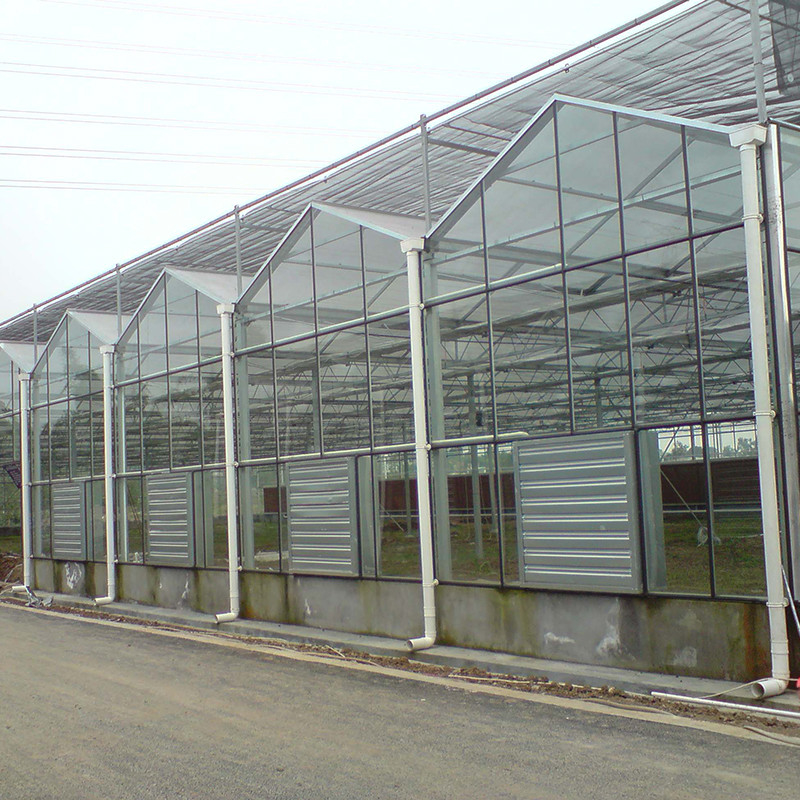 Hot Dipped Galvanized Steel Structure Automatic Ventilation Agricultural Glass Venlo Multi-span Tomato Seedling Greenhouse