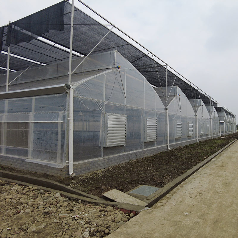 Plastic UV Film Poly Tunnel Agricultural Sawtooth Multi-span Custom Greenhouse for Sale