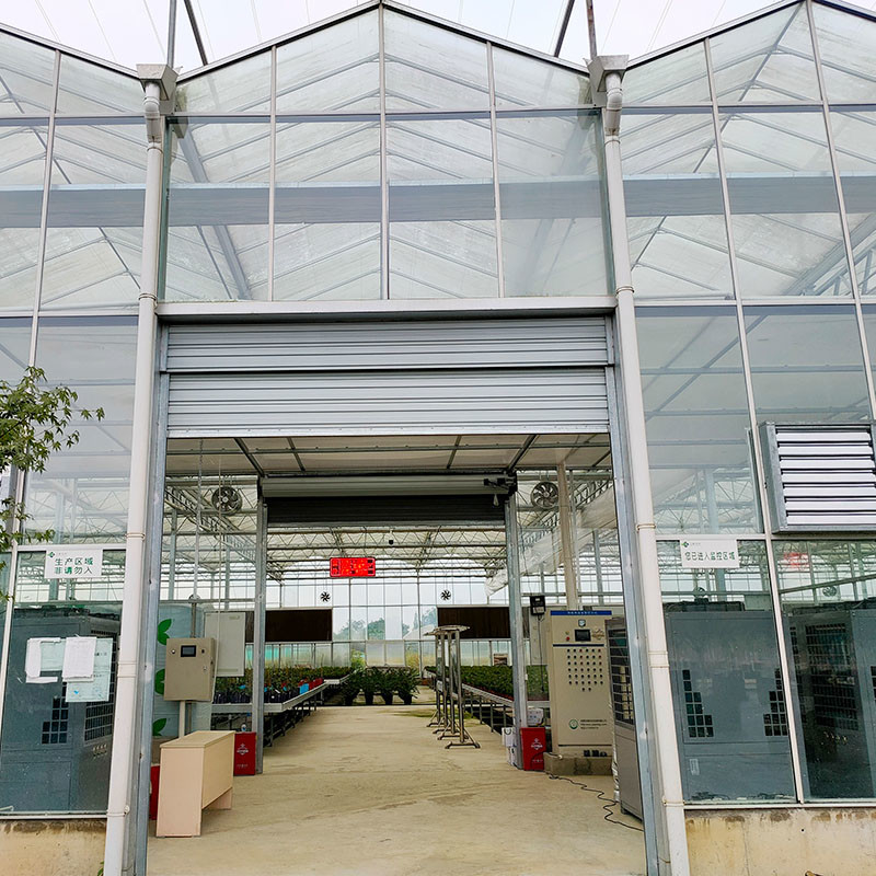 Hot Dipped Galvanized Steel Structure Automatic Ventilation Agricultural Glass Venlo Multi-span Tomato Seedling Greenhouse