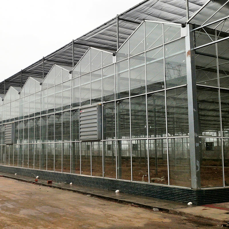 Horticultural Multi-span Agricultural Flower Growing Venlo Type Seeding Glass Greenhouse
