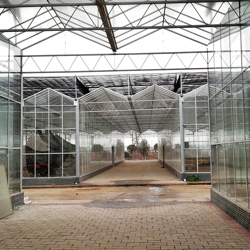 Smart Farming Venlo Type Agricultural Tempered Glass Large Tunnel Multi-span Greenhouse