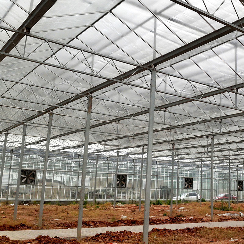 Automatic Ventilation Agricultural Glass Venlo Large Tunnel Tomato Greenhouses with Cooling System Pad and Fan System