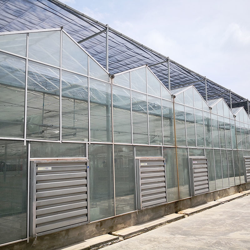 Automatic Ventilation Agricultural Glass Venlo Large Tunnel Tomato Greenhouses with Cooling System Pad and Fan System