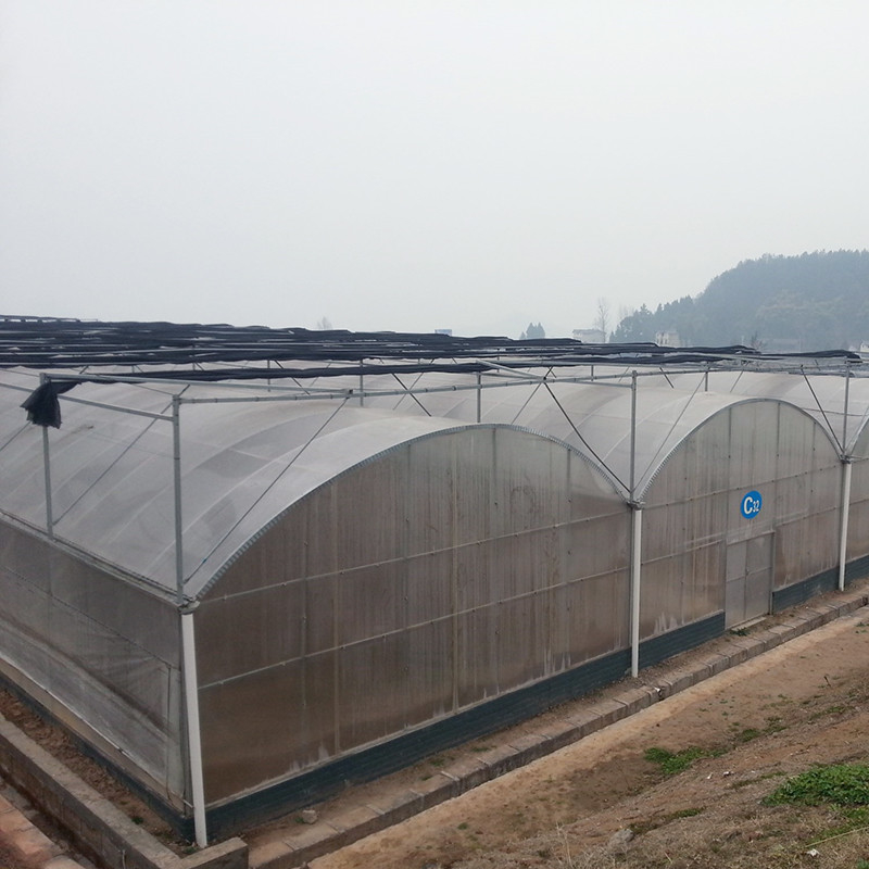 Reliable Poly Tunnel Greenhouse Anti Rust Steel Frame Long Lasting Film for Tomato
