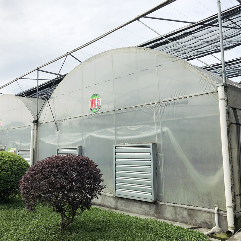 Stable Structure Industrial Plastic PE Film Multi-span Agricultural Flower House Poly Tunnel Greenhouse