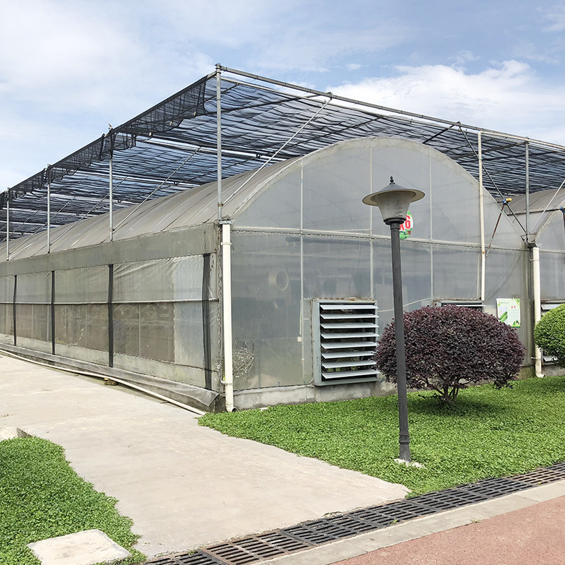 Durable Custom Size Poly Tunnel Multi-span Film Agricultural Greenhouse for Flower