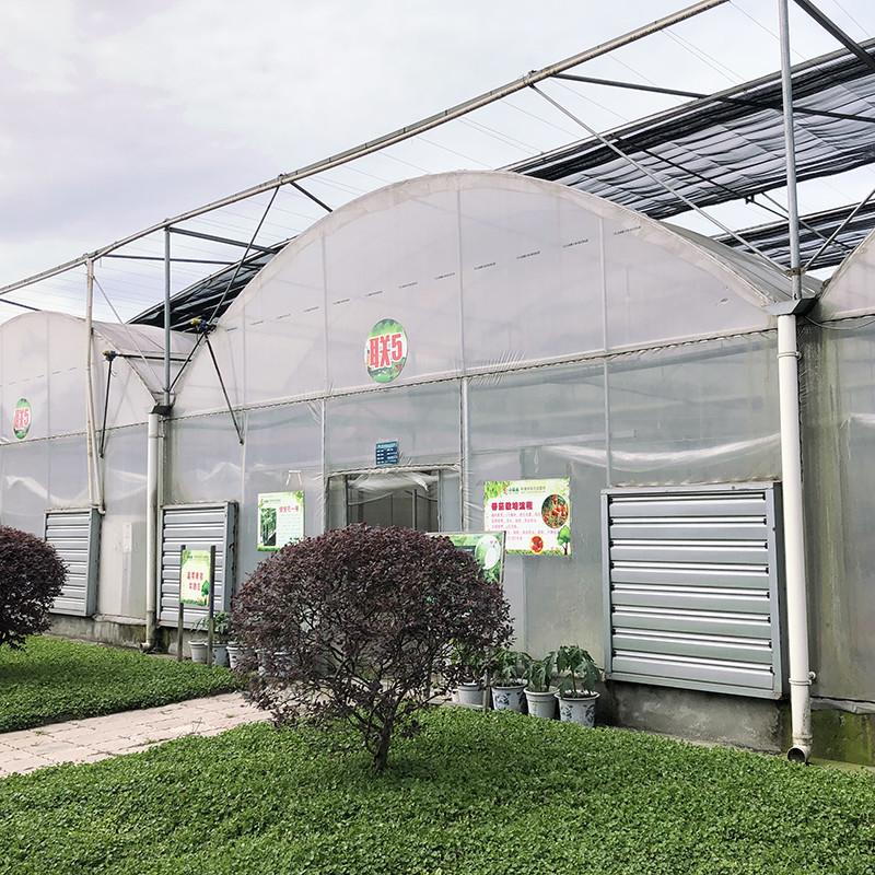 Durable Custom Size Poly Tunnel Multi-span Film Agricultural Greenhouse for Flower