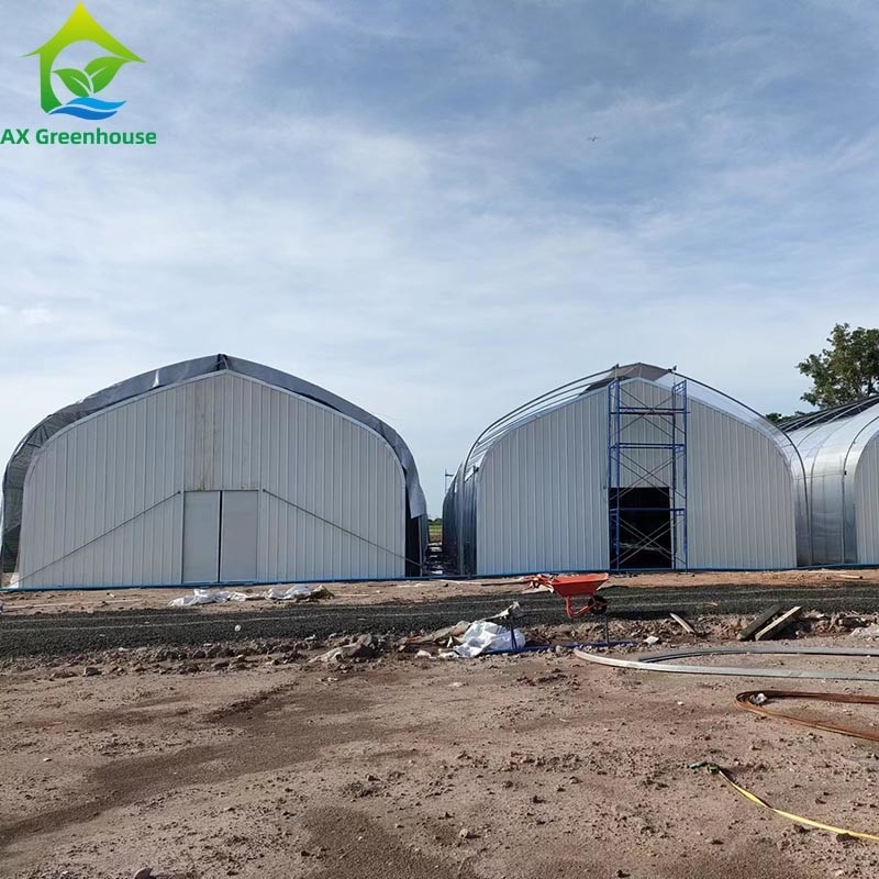 Customized Agricultural Seeding Light Deprivation Blackout Single-span Film Greenhouse Tent for Commercial Farming