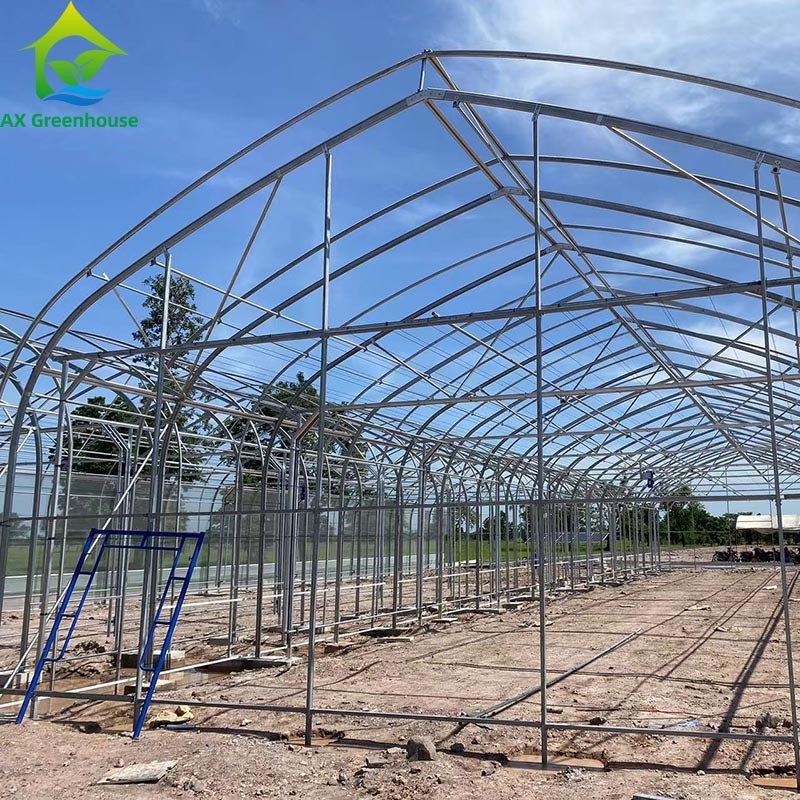 Customized Agricultural Seeding Light Deprivation Blackout Single-span Film Greenhouse Tent for Commercial Farming