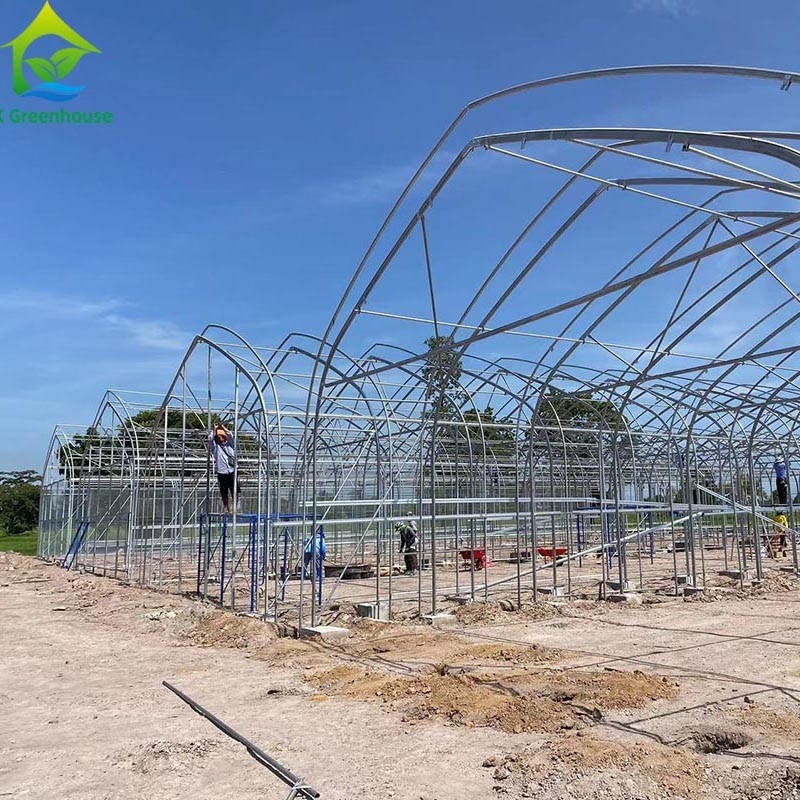 Customized Agricultural Seeding Light Deprivation Blackout Single-span Film Greenhouse Tent for Commercial Farming