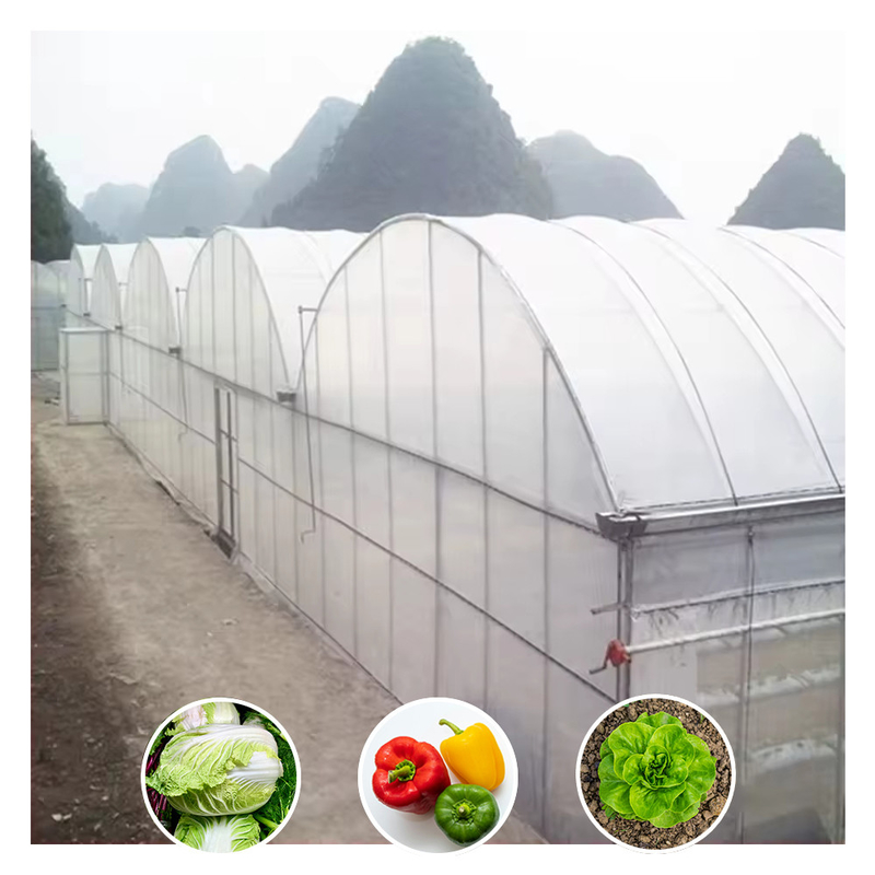 Hot Sale Customized Poly Tunnel Multi-span UV Resistant Film Greenhouses for Tomato