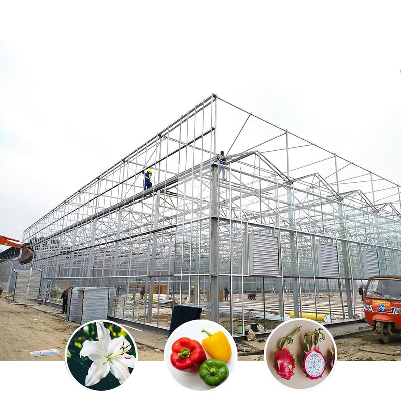 All-Weather Farming Solution Stable Structure Greenhouse with Hot Dipped Galvanized Steel and Commercial Grade Glass