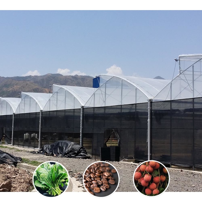 Plastic UV Film Poly Tunnel Agricultural Sawtooth Multi-span Custom Greenhouse for Sale