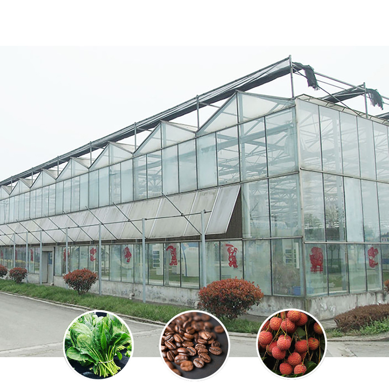 All-Weather Farming Solution Stable Structure Greenhouse with Hot Dipped Galvanized Steel and Commercial Grade Glass