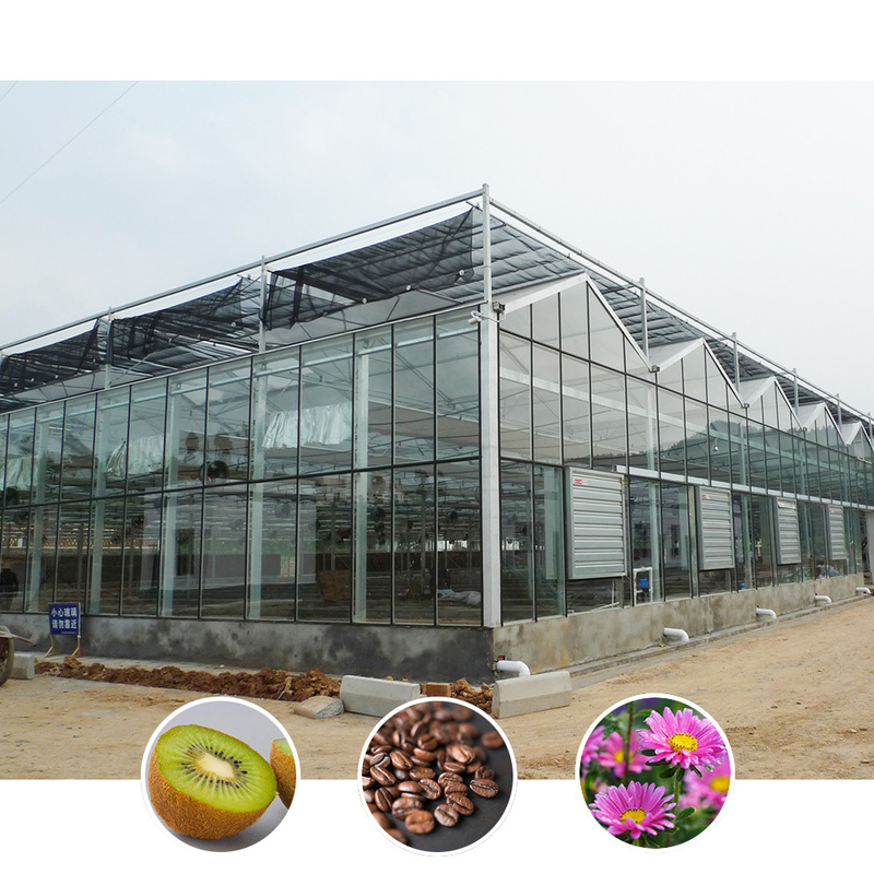 All-Weather Farming Solution Stable Structure Greenhouse with Hot Dipped Galvanized Steel and Commercial Grade Glass