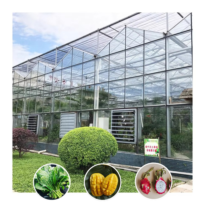 Venlo Type Galvanized Large Tunnel Agricultural Glass Greenhouse For Flowers