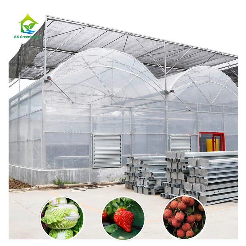 Horticultural Plastic Film UV Resistant Large Poly Tunnel Multi-span Greenhouse for Vegetable
