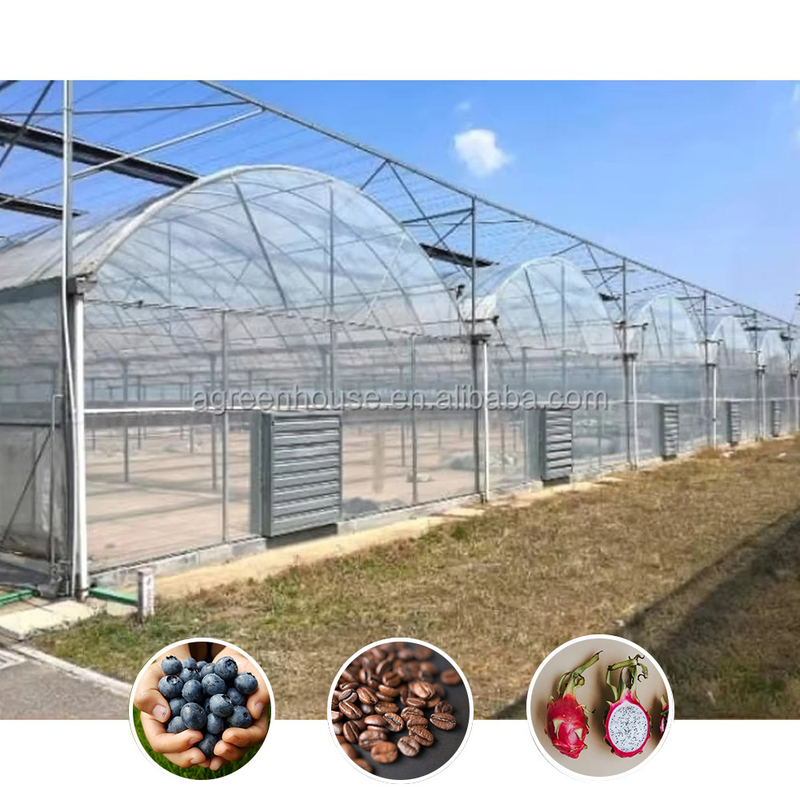 Durable Multi-Span Polytunnel Greenhouse Heavy-Duty Steel Wind Snow Resistance Commercial Farms Nurseries