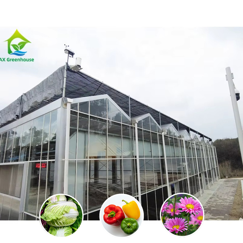 All-Weather Farming Solution Stable Structure Greenhouse with Hot Dipped Galvanized Steel and Commercial Grade Glass
