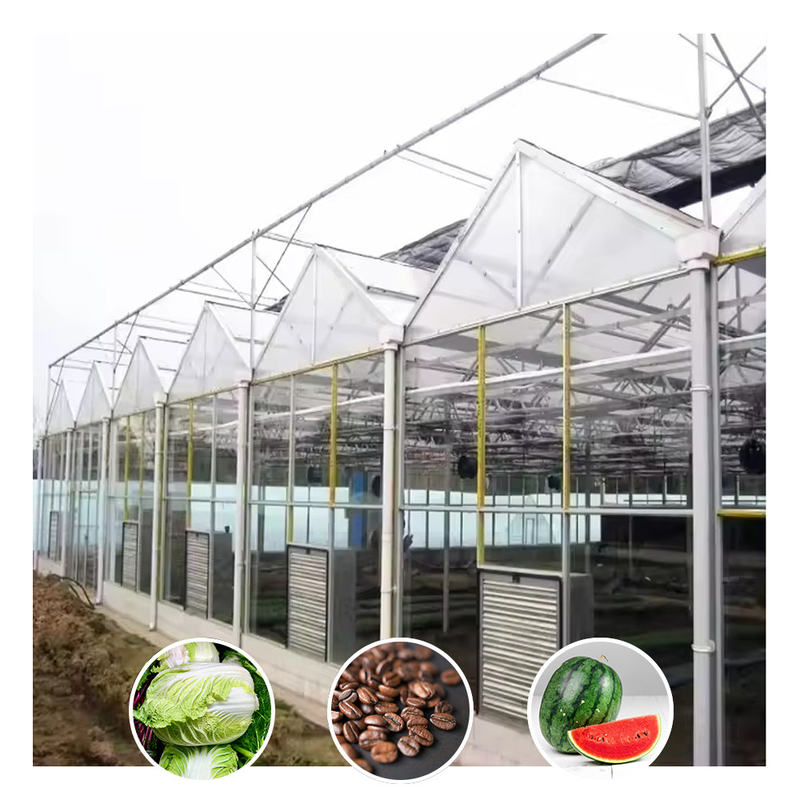 Venlo Type Galvanized Large Tunnel Agricultural Glass Greenhouse For Flowers