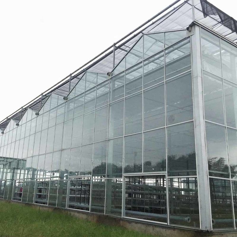 Multi Span Venlo Style Glass Agricultural Greenhouse featuring Triangle Roof Molding and Top Side Ventilation for Ventilation