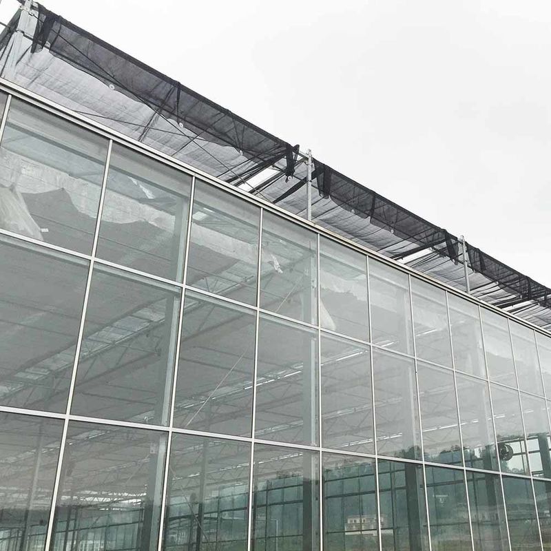 Multi Span Venlo Style Glass Agricultural Greenhouse featuring Triangle Roof Molding and Top Side Ventilation for Ventilation