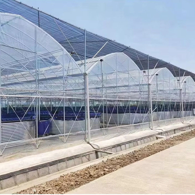 Durable Multi-Span Polytunnel Greenhouse Heavy-Duty Steel Wind Snow Resistance Commercial Farms Nurseries