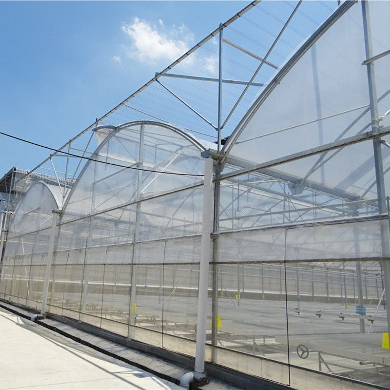 Horticultural Plastic Film UV Resistant Large Poly Tunnel Multi-span Greenhouse for Vegetable