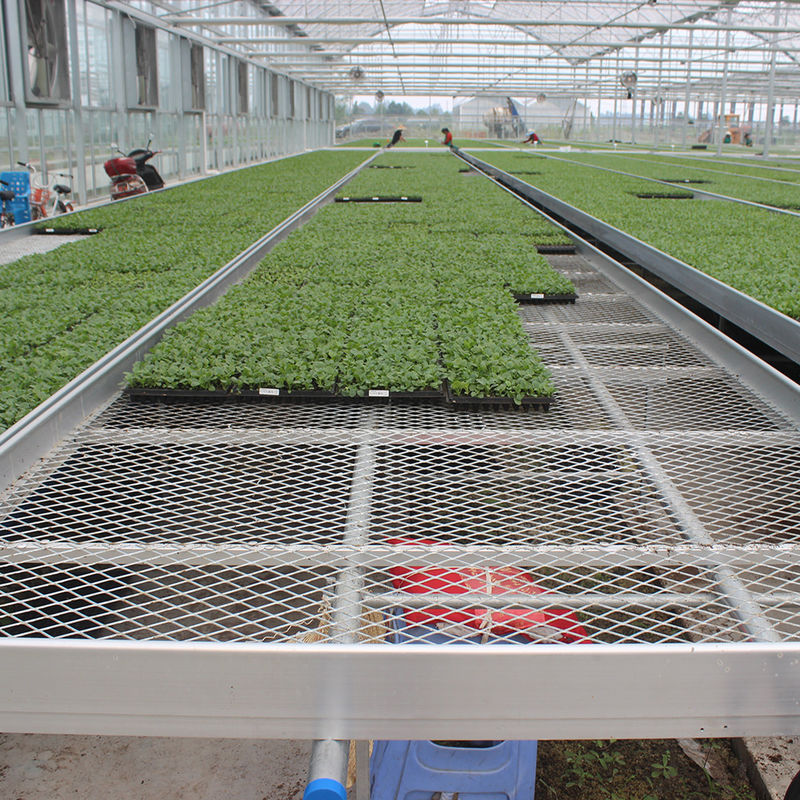 Customized Greenhouse Rolling Bench Grow Table with Easy Construction Advantage and Hot Galvanized Steel Frame Structure
