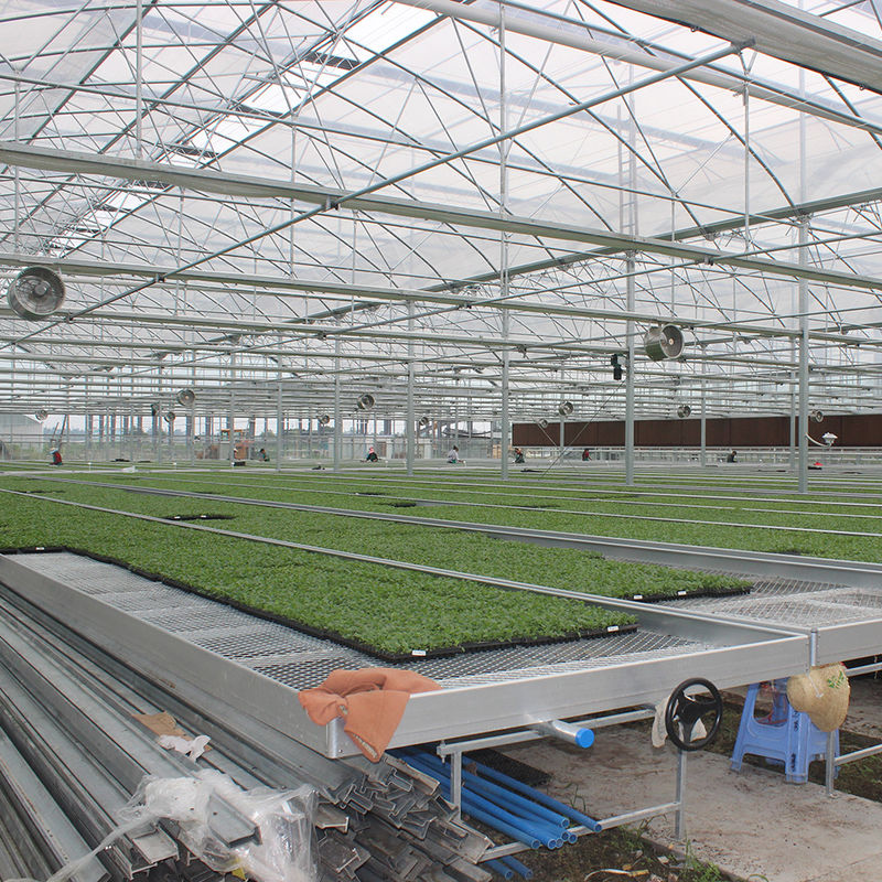 Lightweight Versatile Greenhouse Tables Expandable for Growing Various Plant Types Rust Resistant