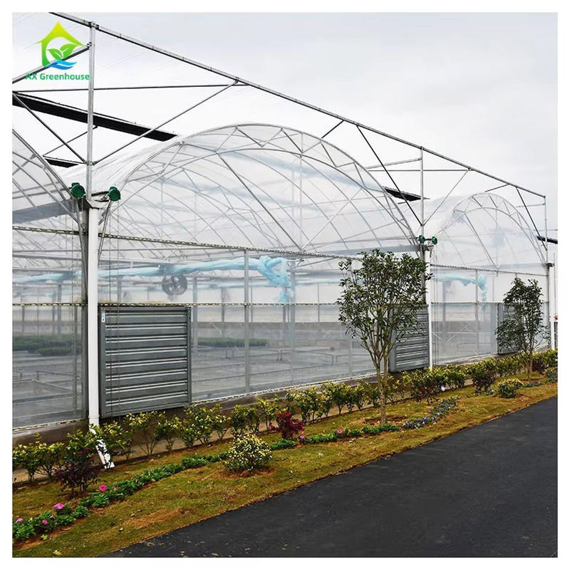 Horticultural Plastic Film UV Resistant Large Poly Tunnel Multi-span Greenhouse for Vegetable