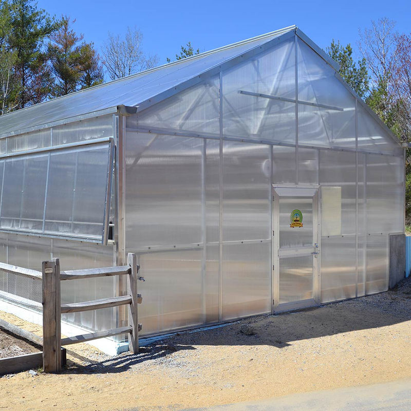 Versatile Single Span Multiwall Polycarbonate Greenhouse Ideal For Vegetables Seedlings Flowers Backyard Farming
