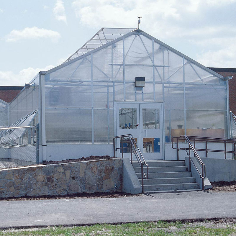 Versatile Single Span Multiwall Polycarbonate Greenhouse Ideal For Vegetables Seedlings Flowers Backyard Farming