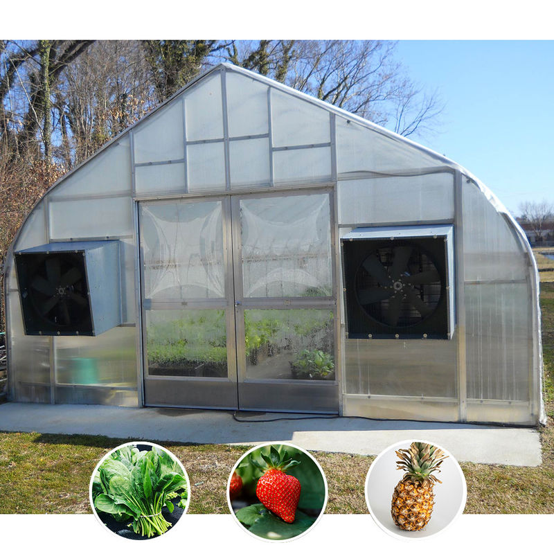 All Seasons Shading System Professional Venlo Greenhouse With Fully Automated Light Deprivation System And Integrated Gutters