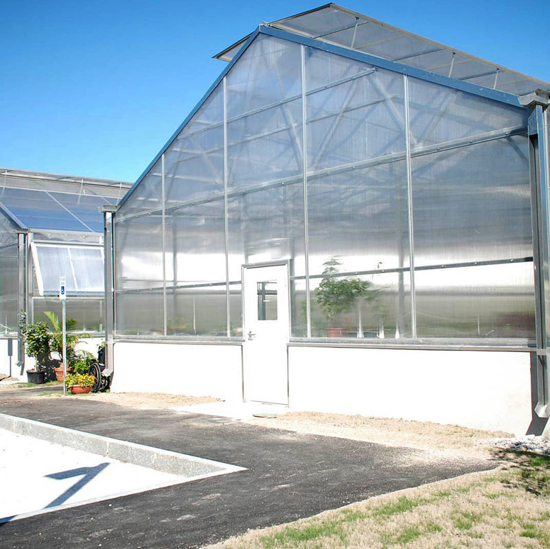 Versatile Single Span Multiwall Polycarbonate Greenhouse Ideal For Vegetables Seedlings Flowers Backyard Farming