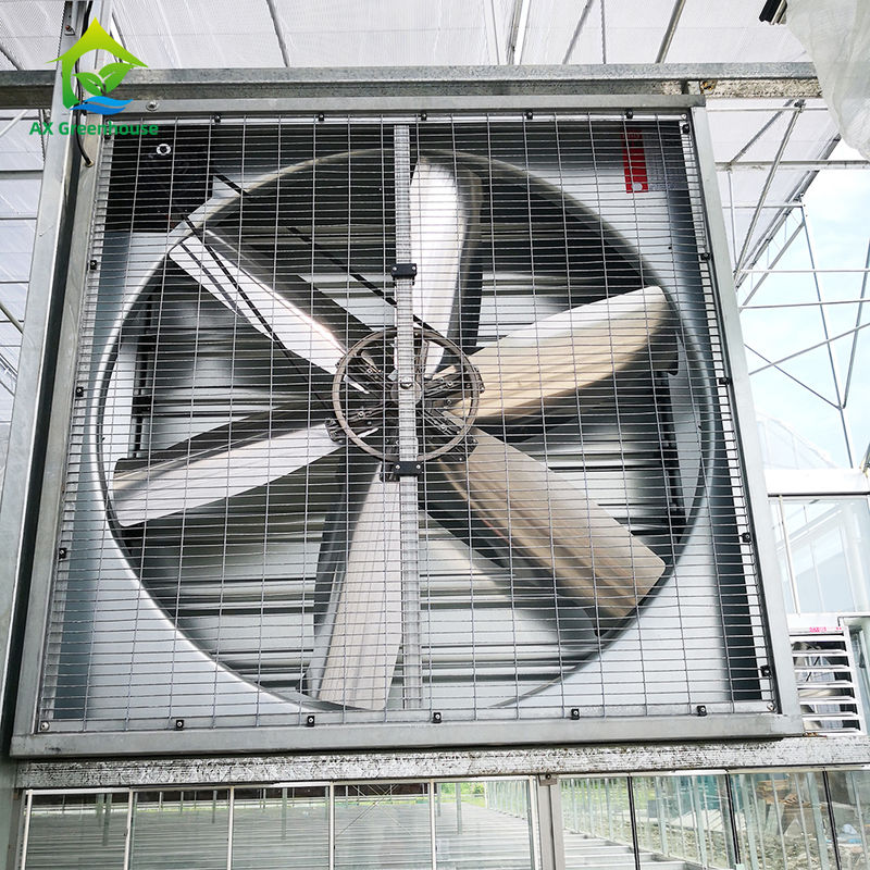 Industrial Grade Aluminum Greenhouse Exhaust Fans Corrosion Resistant for Humid Evaporative Cooling