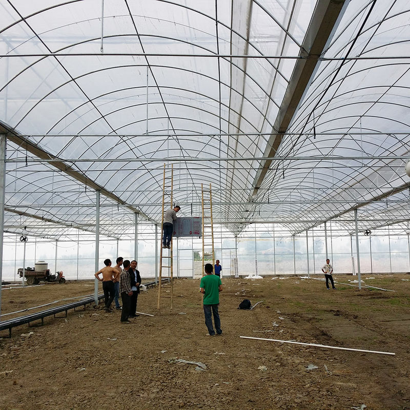 Reliable Poly Tunnel Greenhouse Anti Rust Steel Frame Long Lasting Film for Tomato