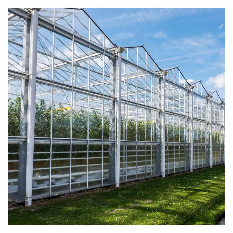 Agricultural Venlo Type Glass Greenhouse Dutch Engineering Galvanized Frame for Hydroponic