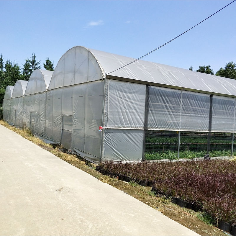 Durable Multi-Span Polytunnel Greenhouse Heavy-Duty Steel Wind Snow Resistance Commercial Farms Nurseries