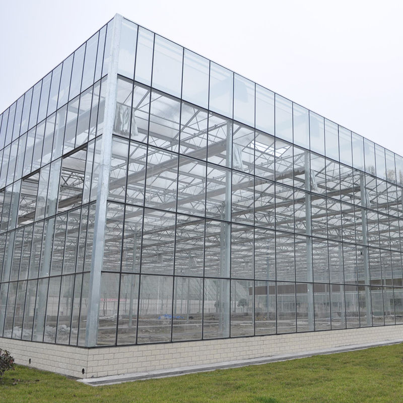 Venlo Type Agricultural Glass Greenhouse Tempered Panels Galvanized Steel Frame for Cucumber Cultivation