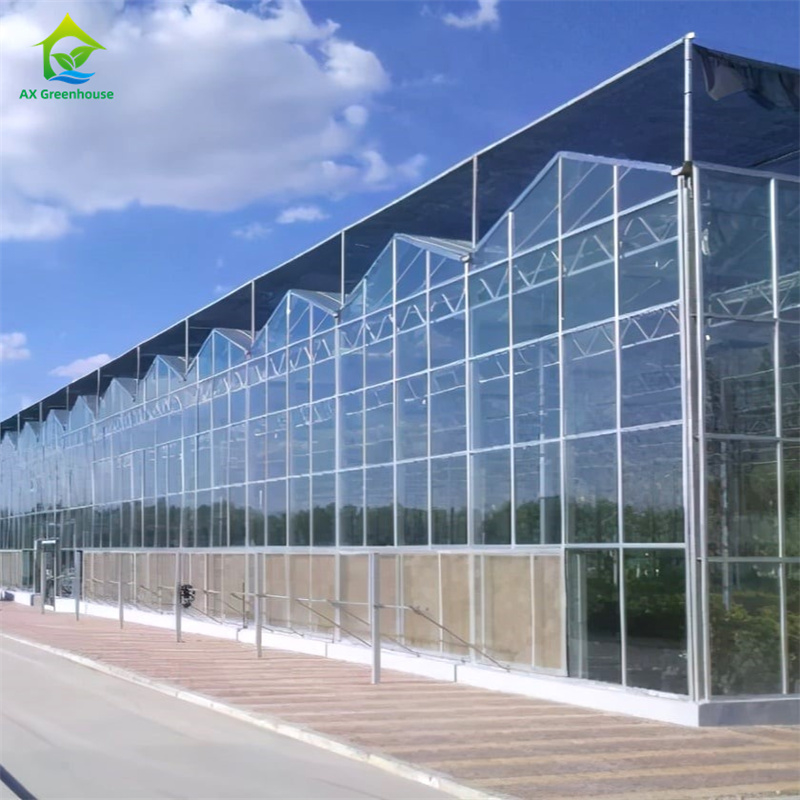 Vegetable Strawberry Growing Equipment in Durable Glass Polycarbonate Greenhouse - All-in-One Greenhouse Kit