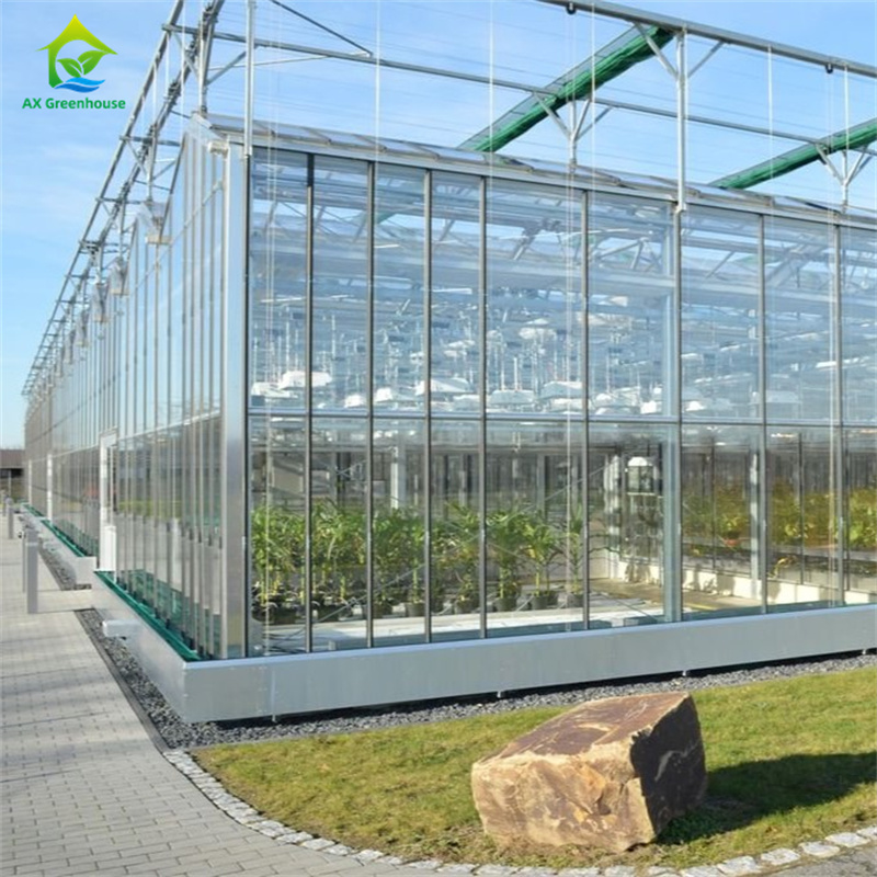 Vegetable Strawberry Growing Equipment in Durable Glass Polycarbonate Greenhouse - All-in-One Greenhouse Kit