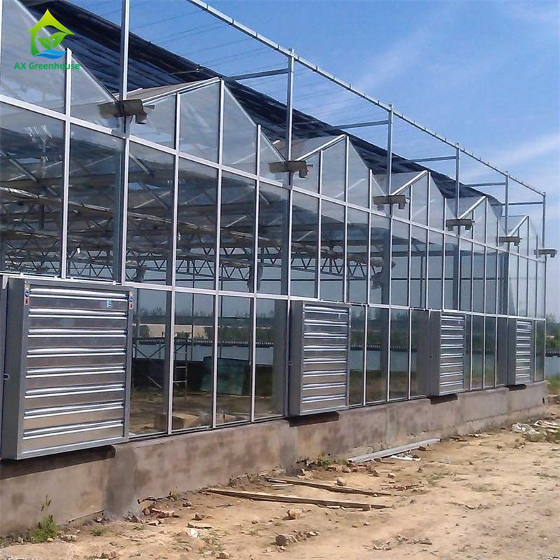Vegetable Strawberry Growing Equipment in Durable Glass Polycarbonate Greenhouse - All-in-One Greenhouse Kit