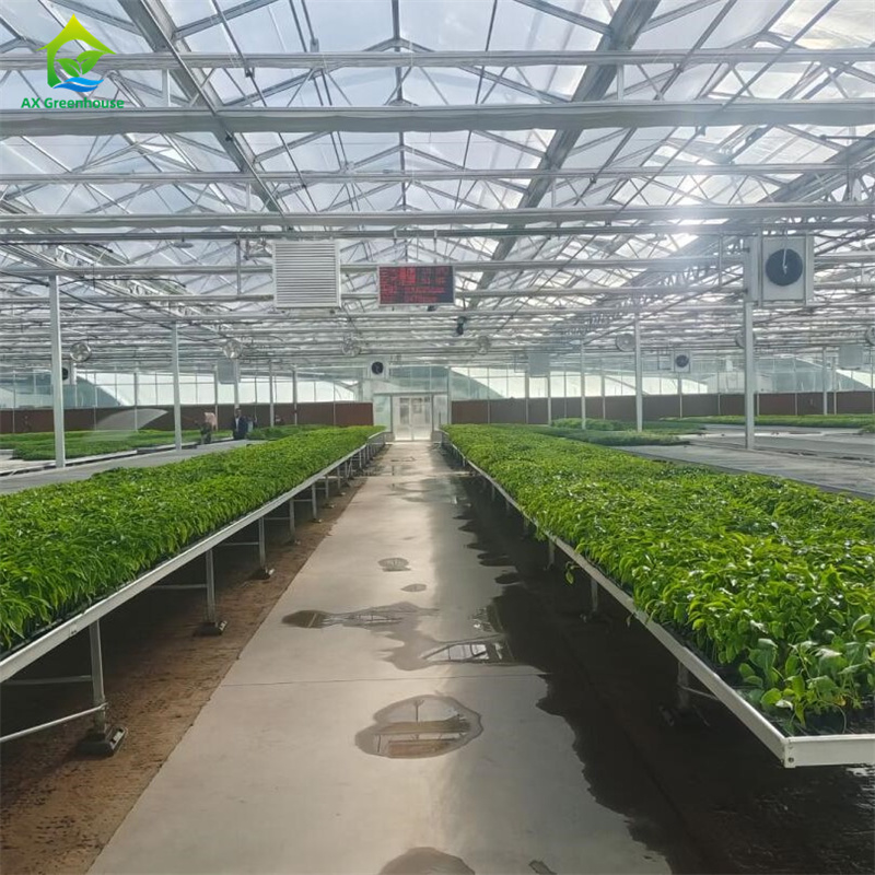 Intelligent Tempered Glass Transparent Green House Large Multi-span Hot Dip GalvanizedSteel PipeAgricultural Glass Greenhouses for Plant Flower Cultivation