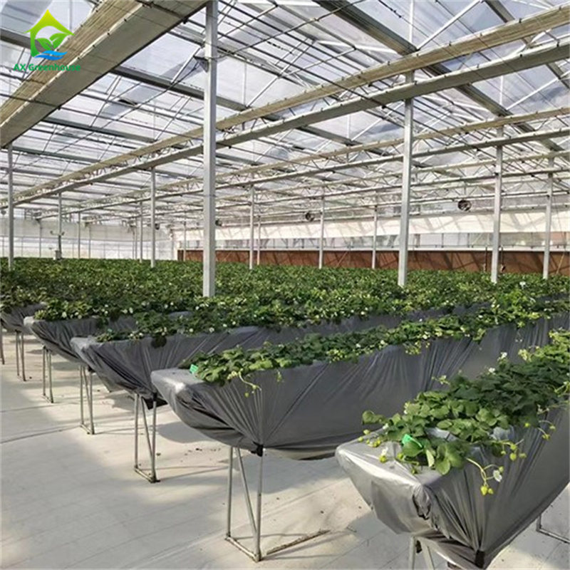 Intelligent Tempered Glass Transparent Green House Large Multi-span Hot Dip GalvanizedSteel PipeAgricultural Glass Greenhouses for Plant Flower Cultivation