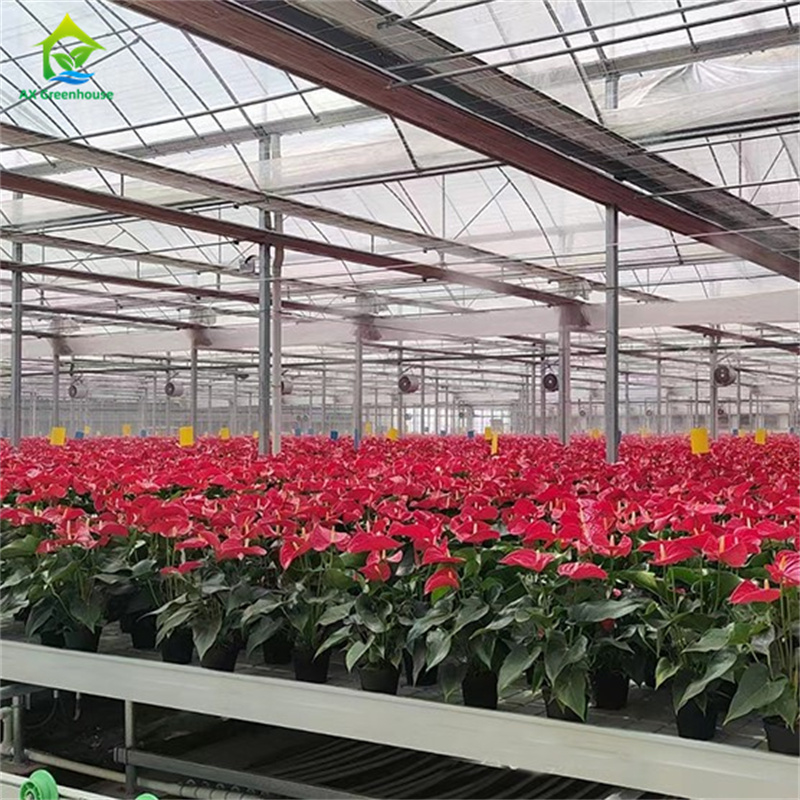 Intelligent Tempered Glass Transparent Green House Large Multi-span Hot Dip GalvanizedSteel PipeAgricultural Glass Greenhouses for Plant Flower Cultivation
