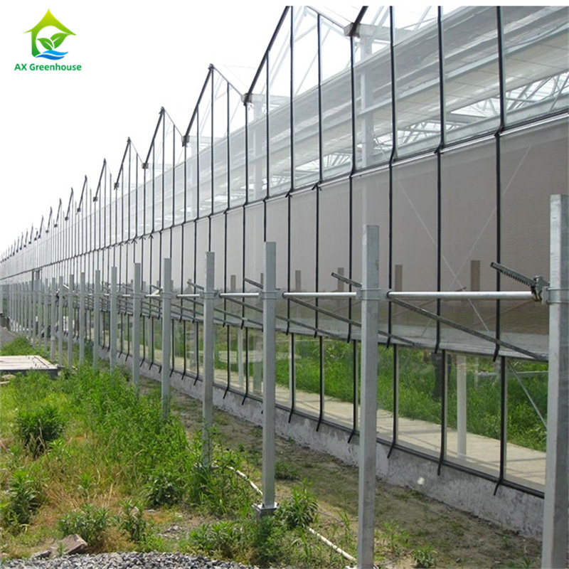 Large Multi-span Commercial Venlo Glass Greenhouse With Seedbed Hydroponic for Tomato Strawberry