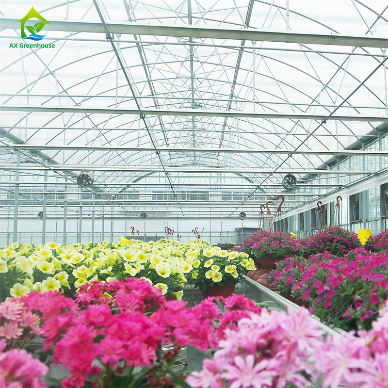 Large Multi-span Commercial Venlo Glass Greenhouse With Seedbed Hydroponic for Tomato Strawberry